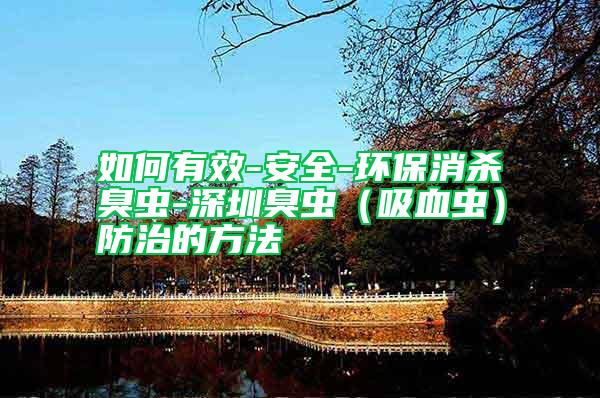 如何有效-安全-環保消殺臭蟲-深圳臭蟲（吸血蟲）防治的方法