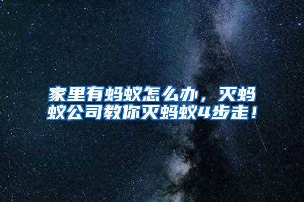 家里有螞蟻怎么辦，滅螞蟻公司教你滅螞蟻4步走！
