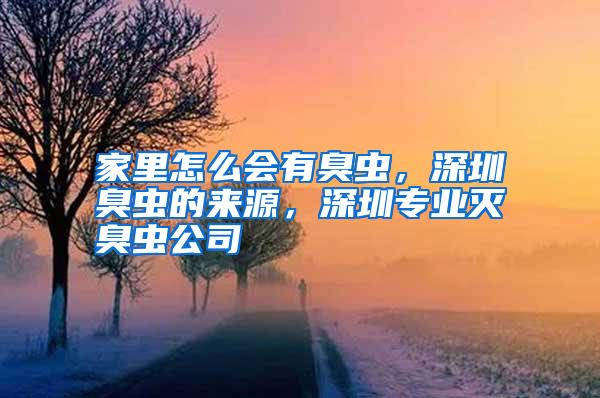 家里怎么會有臭蟲，深圳臭蟲的來源，深圳專業滅臭蟲公司