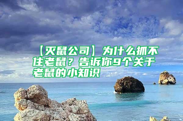 【滅鼠公司】為什么抓不住老鼠？告訴你9個關于老鼠的小知識