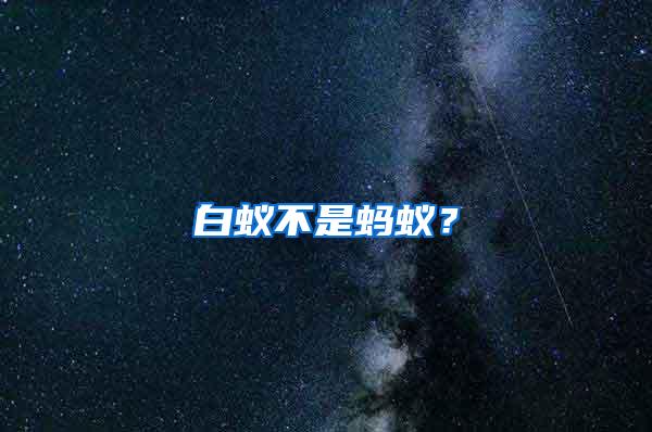 白蟻不是螞蟻?