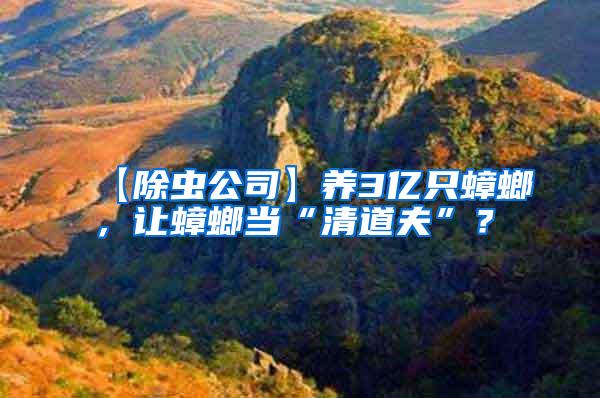 【除蟲公司】養3億只蟑螂，讓蟑螂當“清道夫”？