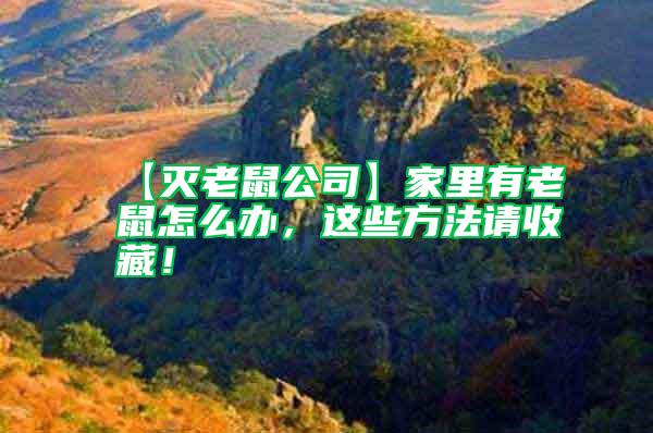 【滅老鼠公司】家里有老鼠怎么辦,這些方法請收藏!