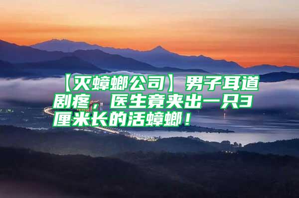 【滅蟑螂公司】男子耳道劇疼,醫生竟夾出一只3厘米長的活蟑螂!