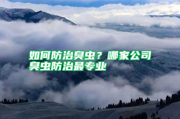 如何防治臭蟲？哪家公司臭蟲防治最專業
