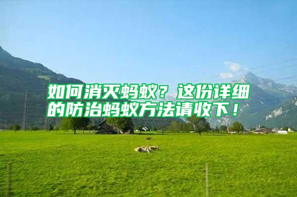 如何消滅螞蟻?這份詳細的防治螞蟻方法請收下!