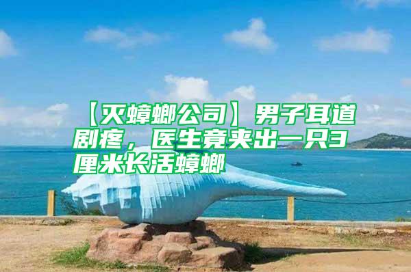 【滅蟑螂公司】男子耳道劇疼,醫生竟夾出一只3厘米長活蟑螂