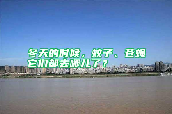 冬天的時(shí)候,蚊子、蒼蠅它們都去哪兒了?