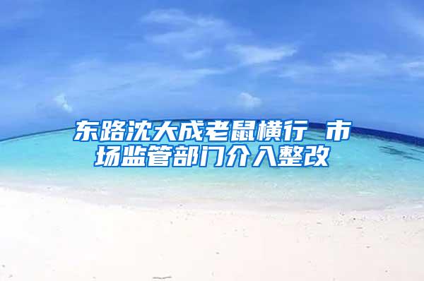 東路沈大成老鼠橫行 市場監管部門介入整改