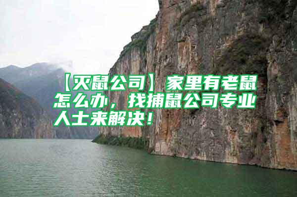 【滅鼠公司】家里有老鼠怎么辦,找捕鼠公司專業(yè)人士來(lái)解決!