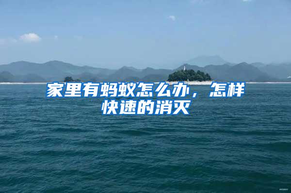 家里有螞蟻怎么辦,怎樣快速的消滅