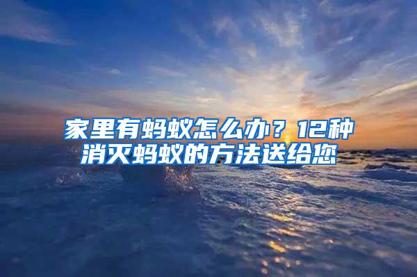 家里有螞蟻怎么辦？12種消滅螞蟻的方法送給您