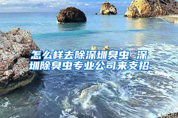 怎么樣去除深圳臭蟲 深圳除臭蟲專業(yè)公司來支招