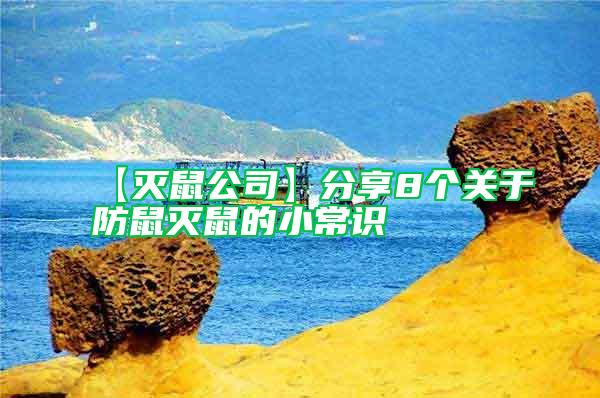 【滅鼠公司】分享8個關(guān)于防鼠滅鼠的小常識