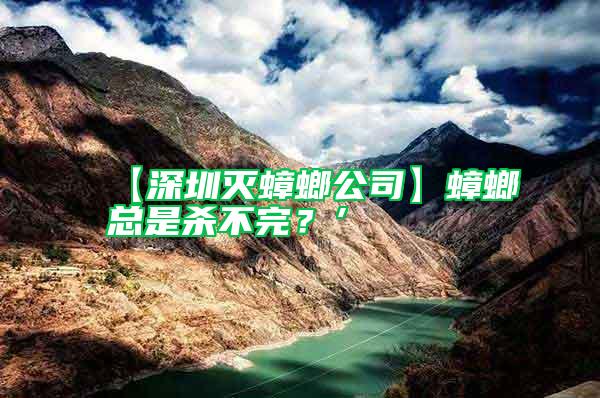 【深圳滅蟑螂公司】蟑螂總是殺不完?’