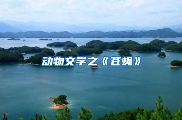 動物文學(xué)之《蒼蠅》