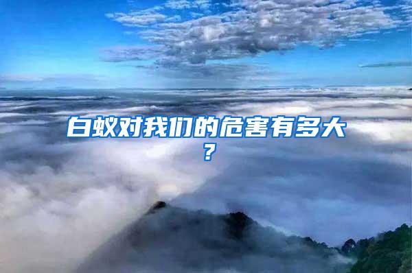 白蟻對(duì)我們的危害有多大?