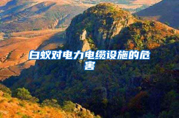 白蟻對電力電纜設(shè)施的危害