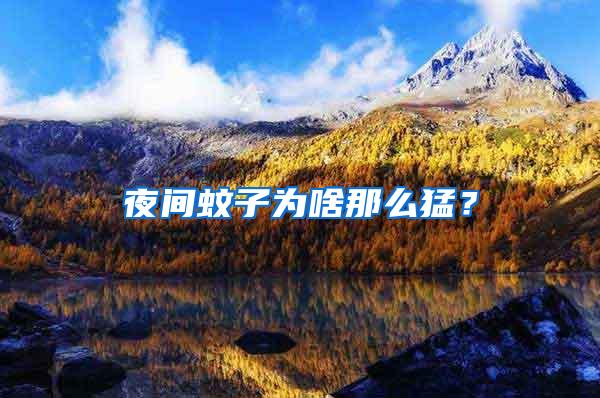 夜間蚊子為啥那么猛？