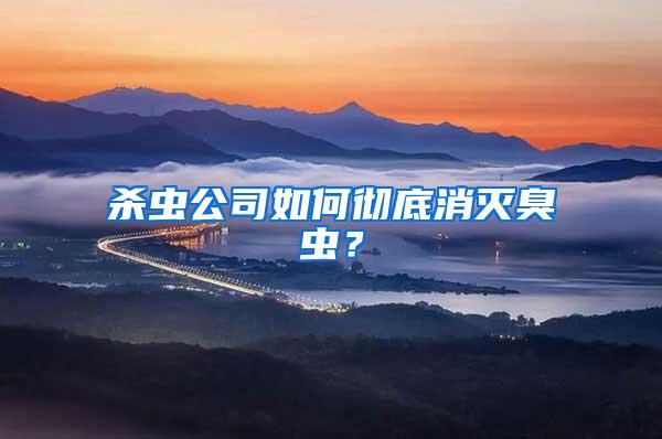 殺蟲(chóng)公司如何徹底消滅臭蟲(chóng)？