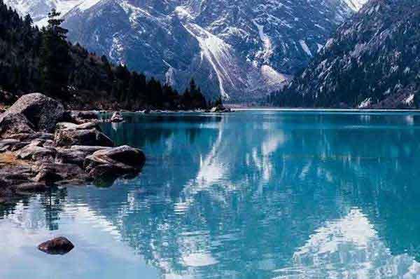 寨卡恐懼?我在里約只見過一只蚊子