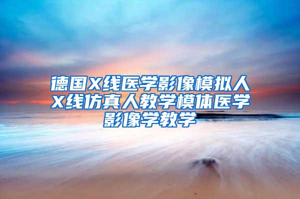 德國X線醫學影像模擬人X線仿真人教學模體醫學影像學教學