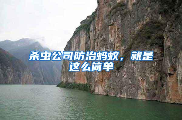 殺蟲公司防治螞蟻，就是這么簡單