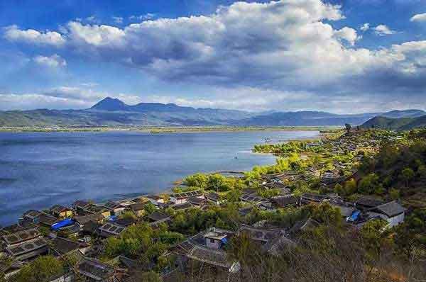 寨卡病毒蔓延全球或成真，家里如何做到沒蚊子