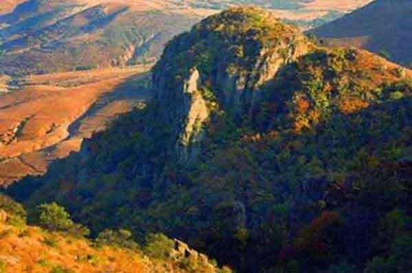 深圳專業(yè)殺臭蟲服務(wù)公司滅臭蟲的收費(fèi)標(biāo)準(zhǔn)-宿舍殺臭蟲多少錢一間