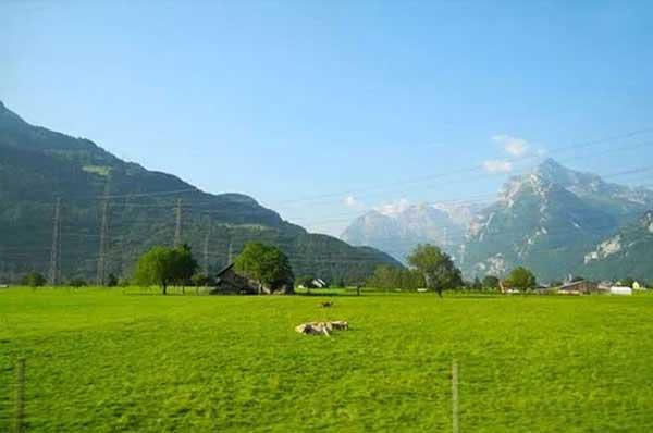 家里有蚊子怎么辦，提醒您防蚊切勿整夜熏蚊香