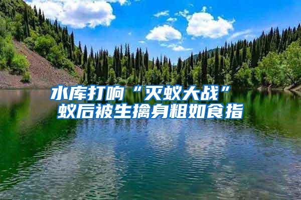 水庫打響“滅蟻大戰” 蟻后被生擒身粗如食指