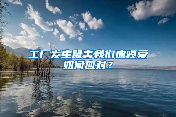 工廠發生鼠害我們應嘎愛如何應對？