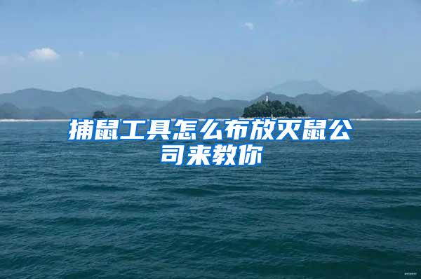 捕鼠工具怎么布放滅鼠公司來教你