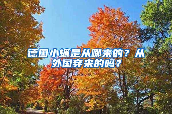 德國(guó)小蠊是從哪來的?從外國(guó)穿來的嗎?