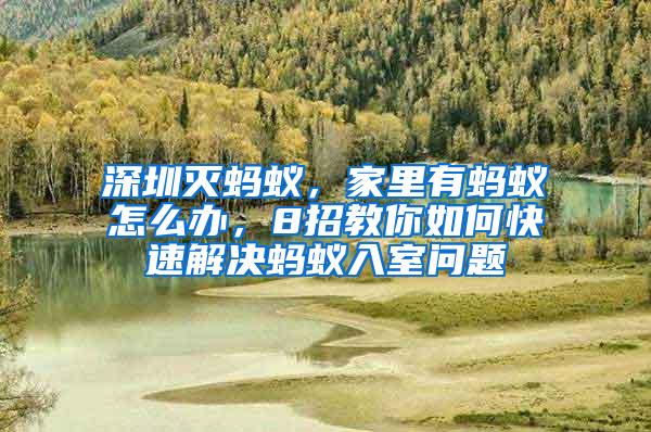 深圳滅螞蟻,家里有螞蟻怎么辦,8招教你如何快速解決螞蟻入室問題