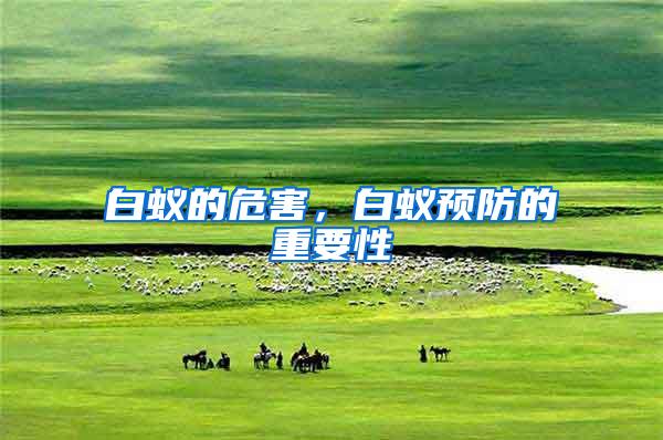 白蟻的危害,白蟻預(yù)防的重要性