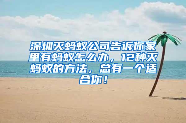 深圳滅螞蟻公司告訴你家里有螞蟻怎么辦,12種滅螞蟻的方法,總有一個適合你!